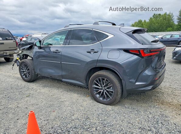 2T2GKCEZ7RC020133 2024 LEXUS NX Gray Задня ліва чверть