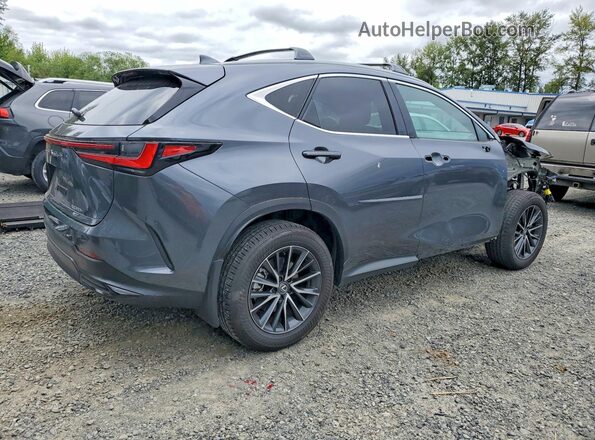2T2GKCEZ7RC020133 2024 LEXUS NX Gray Задня права чверть