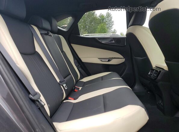 2T2GKCEZ7RC020133 2024 LEXUS NX Gray Вид задньої частини салону