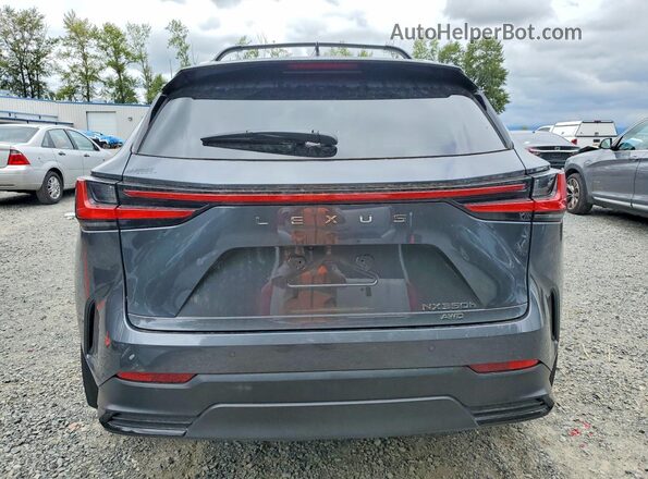 2T2GKCEZ7RC020133 2024 LEXUS NX Gray Вид ззаду