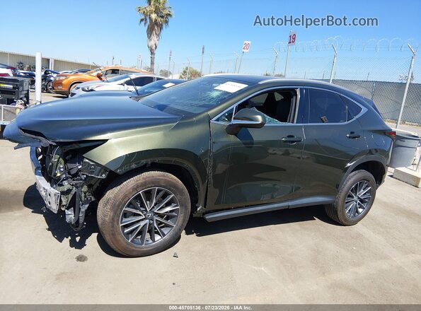 2T2GKCEZ7RC022433 2024 LEXUS NX 350H Green Rear interior view