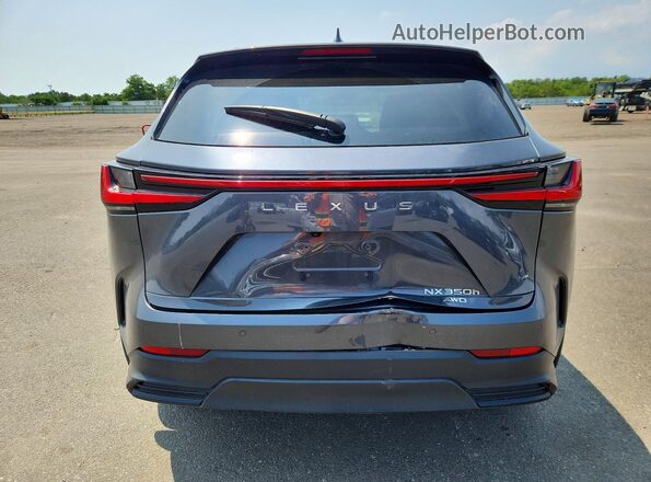 2T2GKCEZ7SC044552 2025 LEXUS NX Gray Вид ззаду