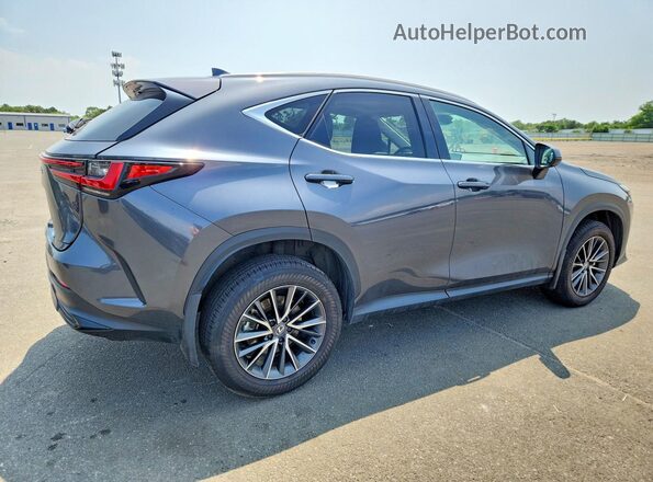 2T2GKCEZ7SC044552 2025 LEXUS NX Gray Задня права чверть