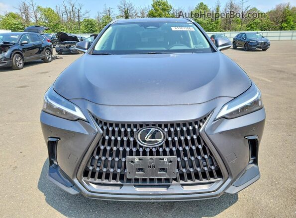 2T2GKCEZ7SC044552 2025 LEXUS NX Gray Вид спереду