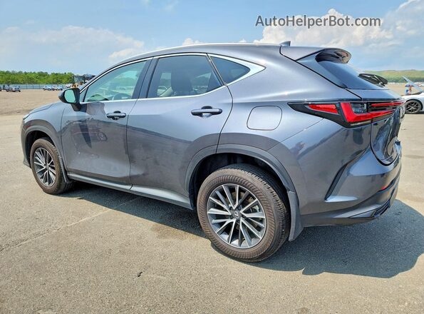 2T2GKCEZ7SC044552 2025 LEXUS NX Gray Задня ліва чверть