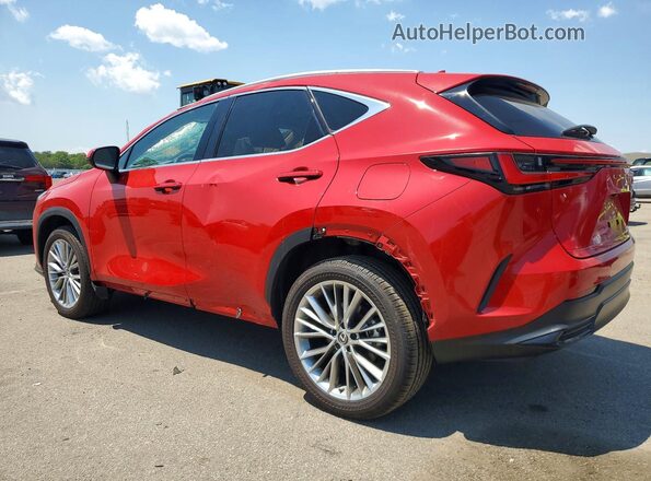 2T2GKCEZ7SC047953 2025 LEXUS NX Red უკანა მარცხენა