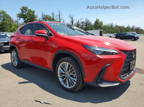 2T2GKCEZ7SC047953 2025 LEXUS NX Red წინა მარჯვენა