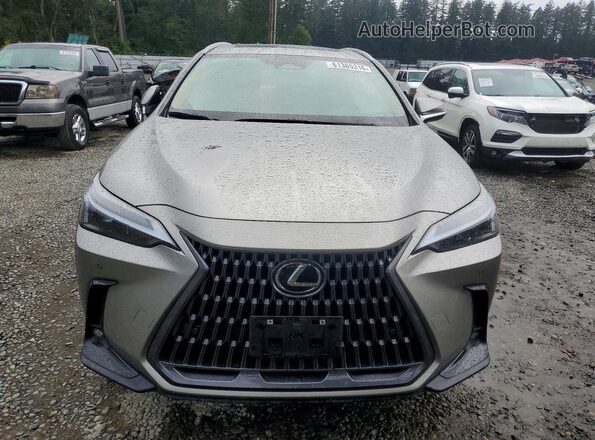 2T2GKCEZ9RC029741 2024 LEXUS NX Silver Vista frontal
