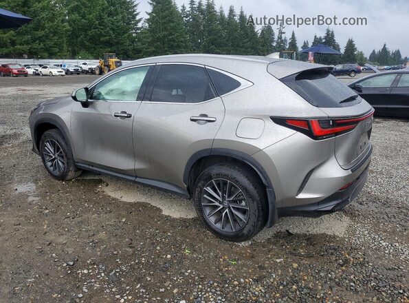 2T2GKCEZ9RC029741 2024 LEXUS NX Silver Trasero izquierdo