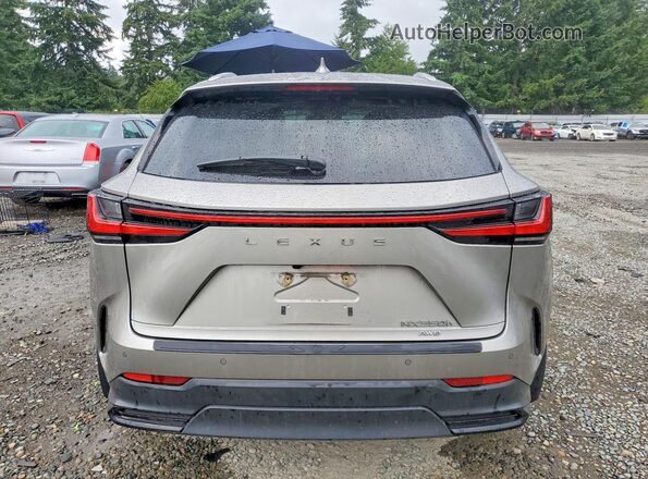 2T2GKCEZ9RC029741 2024 LEXUS NX Silver Vista trasera