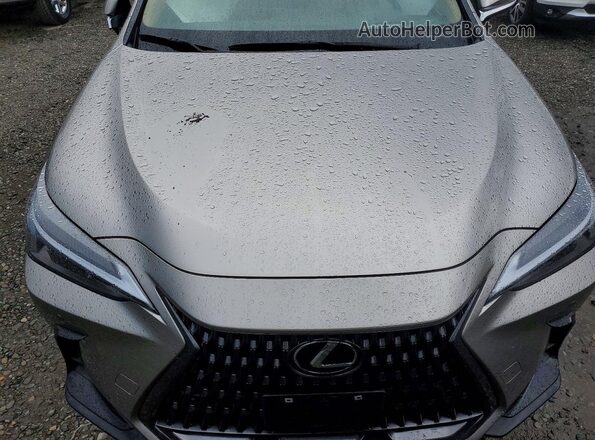 2T2GKCEZ9RC029741 2024 LEXUS NX Silver Vista del compartimento del motor