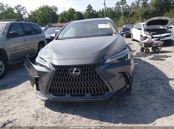 2T2GKCEZXSC034114 2025 LEXUS NX 350H Серый Вид панели приборов