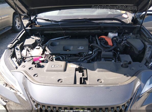 2T2GKCEZXSC034114 2025 LEXUS NX 350H Серый Вид сзади