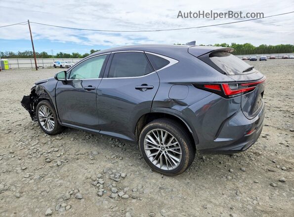 2T2GKCEZXSC045338 2025 LEXUS NX350 Gray Задня ліва чверть