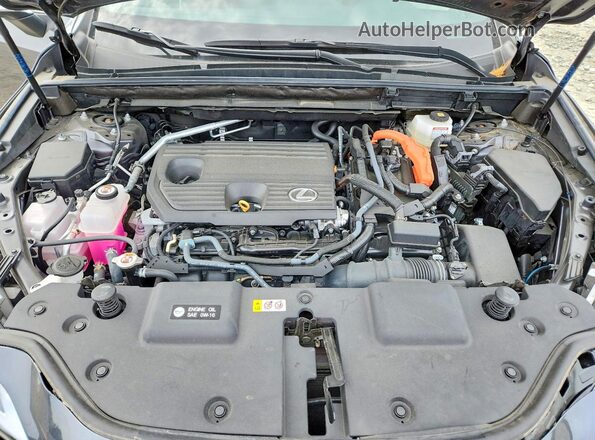 2T2GKCEZXSC045338 2025 LEXUS NX350 Gray Вид підкапотного простору
