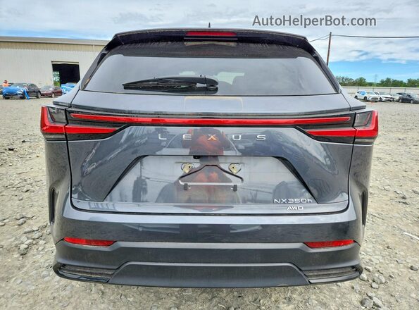 2T2GKCEZXSC045338 2025 LEXUS NX350 Gray Вид ззаду