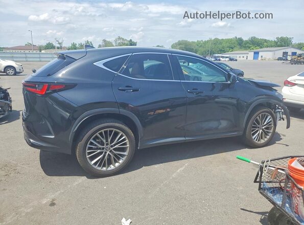 2T2HGCEZ0NC008180 2022 LEXUS NX Black Tył prawy