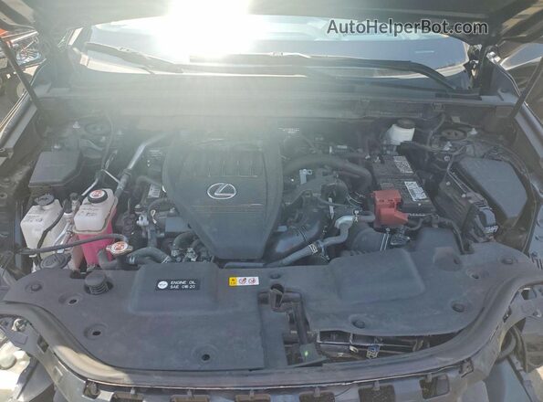 2T2HGCEZ0NC008180 2022 LEXUS NX Black Widok komory silnika