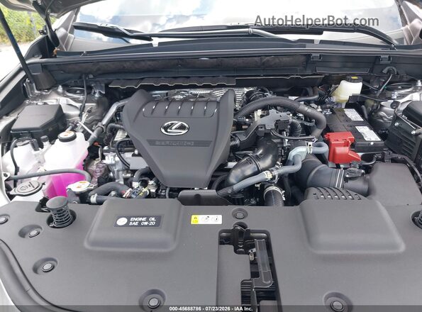2T2HGCEZ2TC118452 2026 LEXUS NX 350 Золотой Вид сзади
