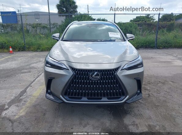 2T2HGCEZ2TC118452 2026 LEXUS NX 350 Золотой Вид задней части салона