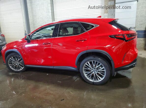 2T2HGCEZ5RC055209 2024 LEXUS NX Red Задня ліва чверть