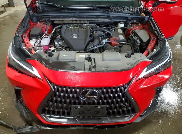 2T2HGCEZ5RC055209 2024 LEXUS NX Red Вид задньої частини салону