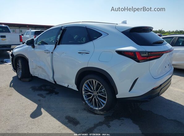 2T2HGCEZXTC102029 2026 LEXUS NX 350 White Задня ліва чверть
