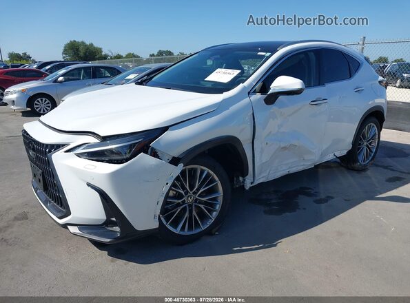 2T2HGCEZXTC102029 2026 LEXUS NX 350 White Передня ліва чверть