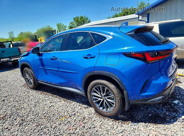 2T2HKCEZ4SC056839 2025 LEXUS NX Синий Задняя левая четверть