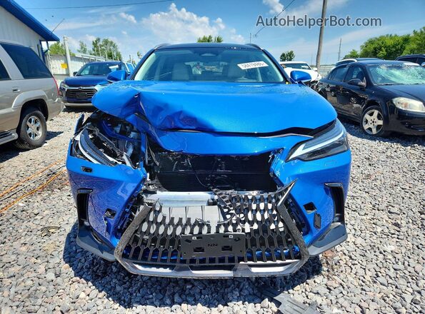 2T2HKCEZ4SC056839 2025 LEXUS NX Синий Вид спереди
