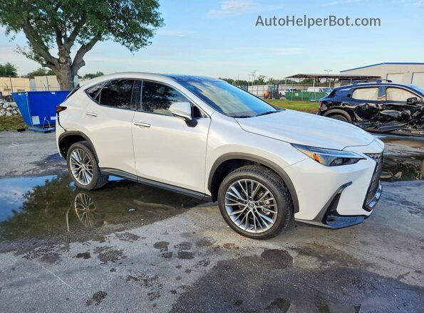 2T2HKCEZ5NC007105 2022 LEXUS NX White Առջևի աջ