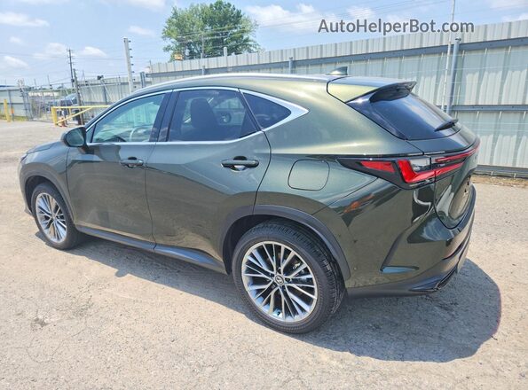2T2HKCEZ6TC058917 2026 LEXUS NX Green Trasero izquierdo