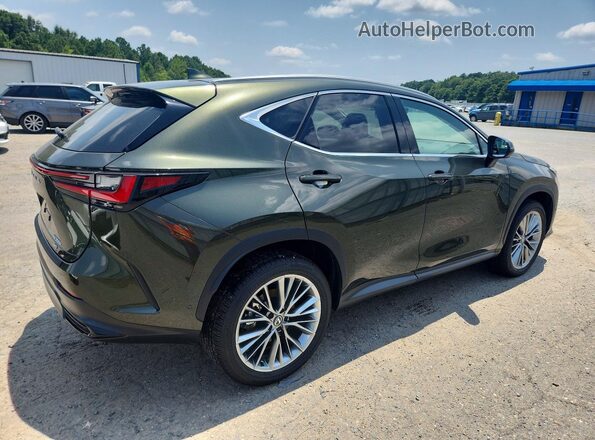 2T2HKCEZ6TC058917 2026 LEXUS NX Green Trasero derecho