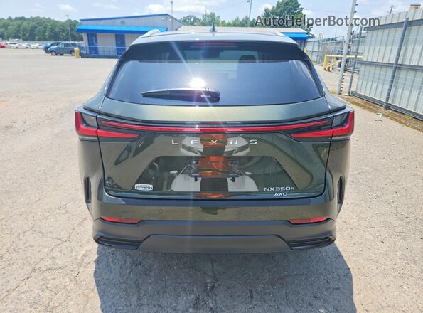 2T2HKCEZ6TC058917 2026 LEXUS NX Green Vista trasera