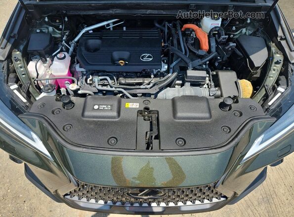 2T2HKCEZ6TC058917 2026 LEXUS NX Green Vista del compartimento del motor