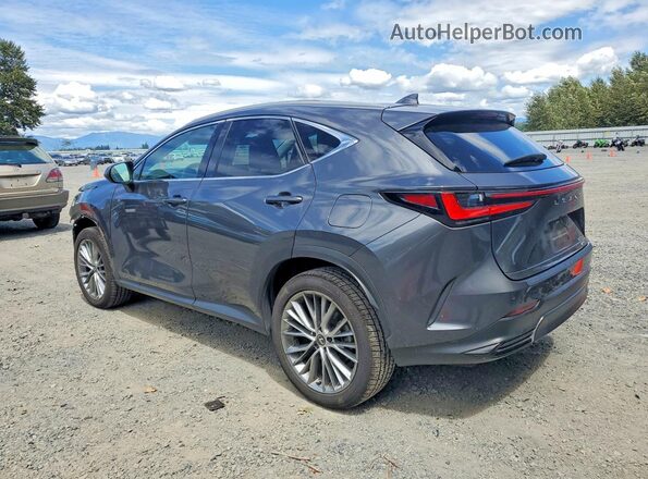 2T2HKCEZXRC024598 2024 LEXUS NX Gray Tył lewy