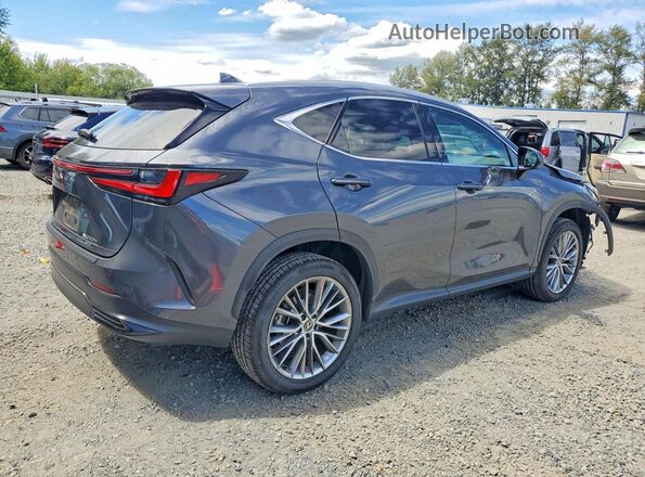 2T2HKCEZXRC024598 2024 LEXUS NX Gray Tył prawy