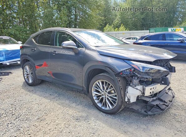 2T2HKCEZXRC024598 2024 LEXUS NX Gray Przód prawy