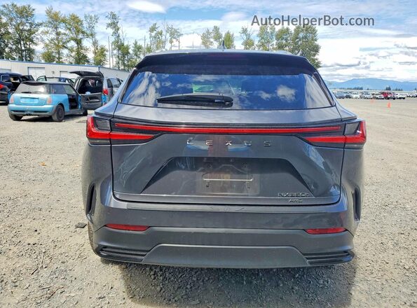 2T2HKCEZXRC024598 2024 LEXUS NX Gray Widok z tyłu