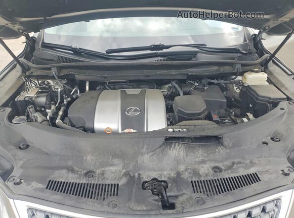 2T2HZMDA4MC267572 2021 LEXUS RX Gold Սալոնի հետևի տեսք