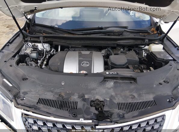 2T2HZMDA8LC227333 2020 LEXUS RX 350 Белый Вид сзади