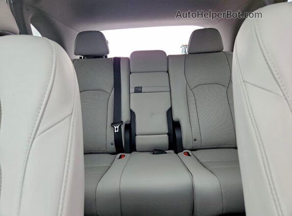 2T2HZMDA9LC248384 2020 LEXUS RX Blue Հետևի նստատեղերի տեսք