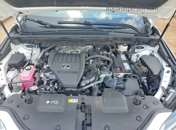 2T2KGCEZ1RC041832 2024 LEXUS NX White ძრავის განყოფილების ხედი
