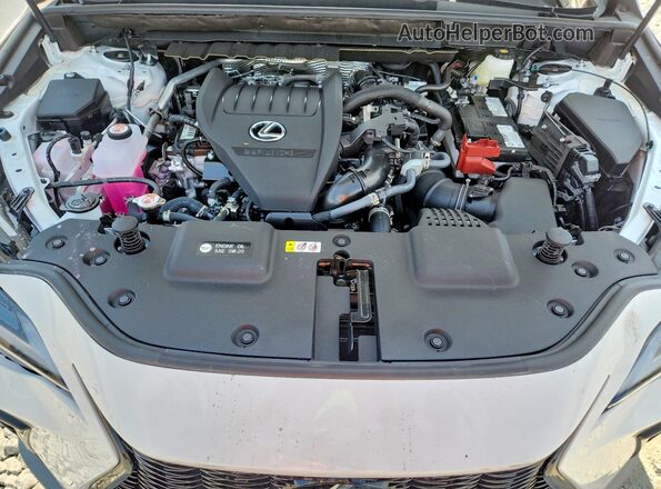 2T2KGCEZ3TC113699 2026 LEXUS NX White Սալոնի հետևի տեսք