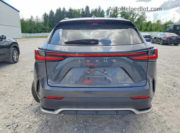 2T2KGCEZ8RC046610 2024 LEXUS NX Gray Вид ззаду