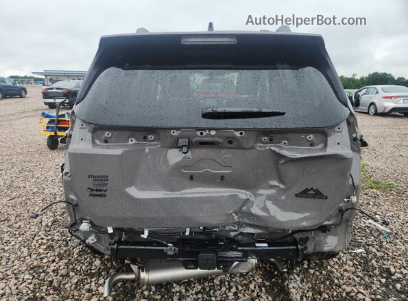 2T36CRAV3TW044848 2026 TOYOTA RAV4 Gray Вид ззаду