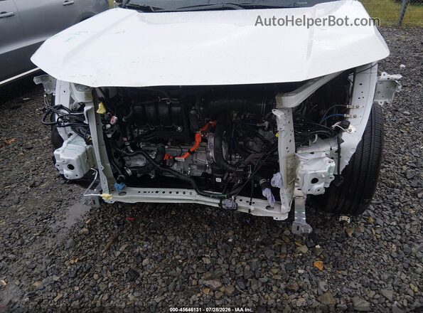 2T36CRAV8TW009092 2026 TOYOTA RAV4 White 