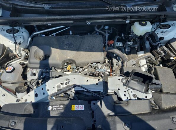 2T36CRAV9TC008437 2026 TOYOTA RAV4 White 