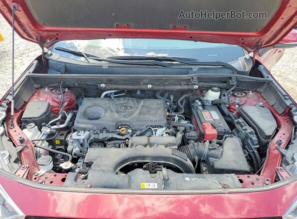 2T3A1RFV1LC135210 2020 TOYOTA RAV4 Red Սալոնի հետևի տեսք