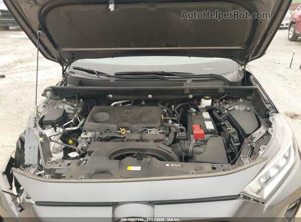 2T3A1RFV2LC062865 2020 TOYOTA RAV4 Gray Հետևի տեսք